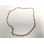 A LADIES PEARL SINGLE STRAND NECKLACE WITH 9CT GOLD CLASP