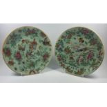 A PAIR OF CHINESE CANTON FAMILLE VERTE 'BUTTERFLY' PATTERN PLATES, DIAMETER 22CM