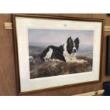 A PENCIL SIGNED LIMITED EDITION PRINT OF A BORDER COLLIE
