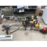 EIGHT STRIMMERS TO INCLUDE A JCB, A QUALCAST MOLINE B43 , A MC CULLOCH TM250, A RED STRIMMER, A