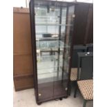 A MAHOGANY DISPLAY CABINET WITH TWO GLASS DOORS AND MIRRORED BACK