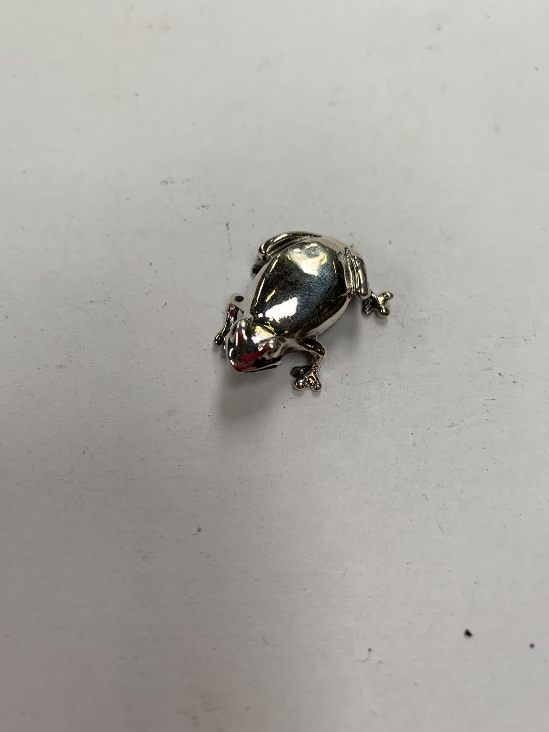 A SMALL SILVER FROG