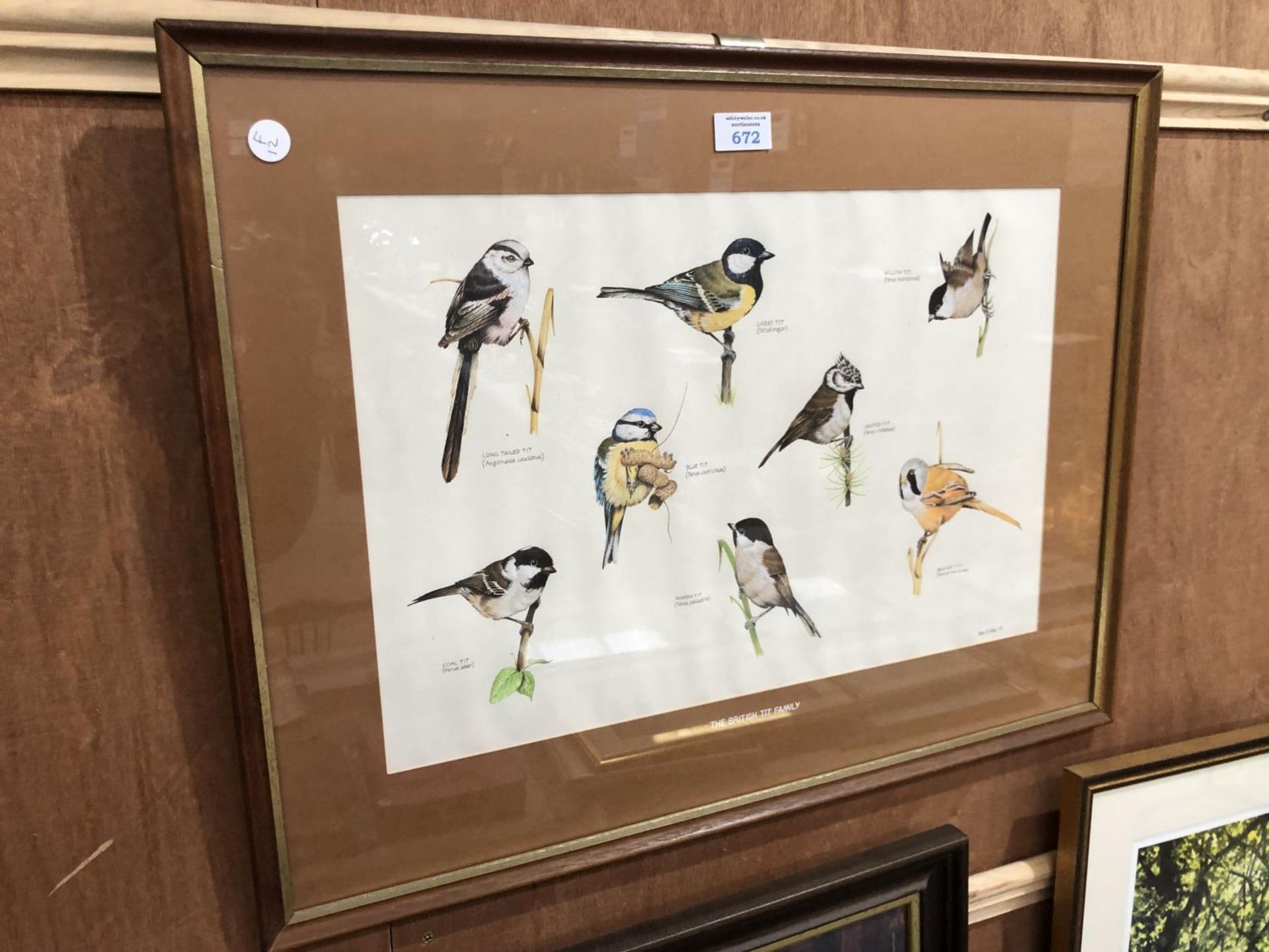 A FRAMED 'BLUE TIT' BIRD MONTAGE PICTURE, PENCIL SIGNED