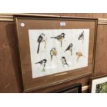 A FRAMED 'BLUE TIT' BIRD MONTAGE PICTURE, PENCIL SIGNED