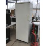 A BOSCH UPRIGHT TALL FRIDGE IN WORKING ORDER