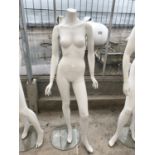 A FEMALE SHOP MANNEQUIN