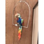 A MODEL PARROT ON BIRCH WALL HANGING