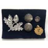 A GROUP OF ASSORTED CHESHIRE REGIMENT BADGES
