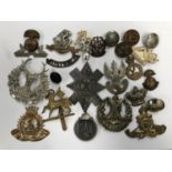 A LARGE GROUP OF ASSORTED VINTAGE MILITARY CAP BADGES