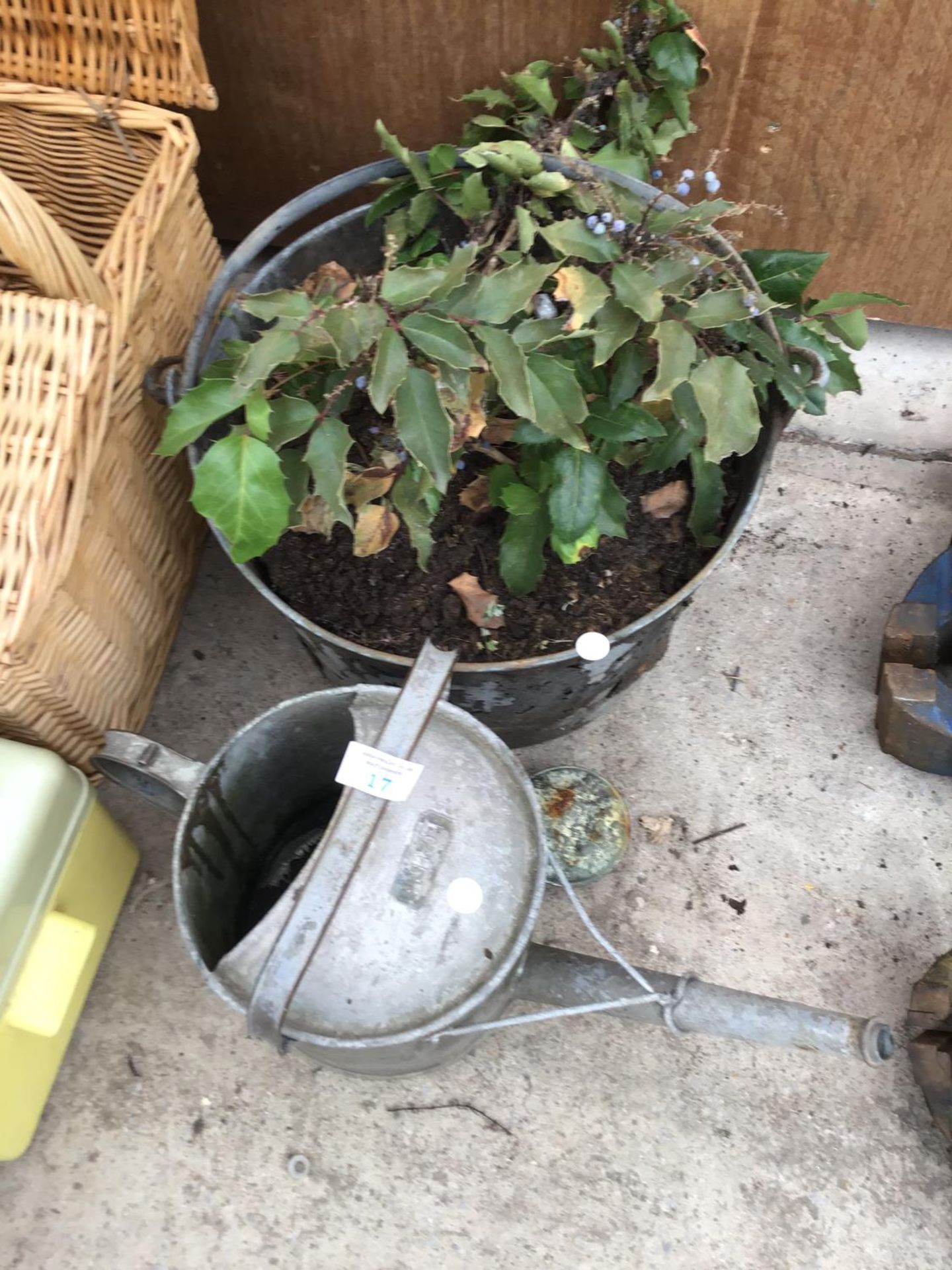 A VINTAGE METAL BUCKET (PLANTED) AND A VINTAGE WATERING CAN