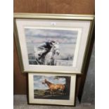 A DESERT ORCHID FRAMED PRINT AND A RED RUM PRINT (2)
