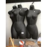 THREE HANGING TORSO MODELS