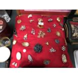 A VARIETY OF BROOCH'S AND A PILLOW