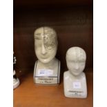 TWO PHRENOLOGY HEAD MODELS