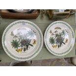 TWO PORTMEIRION BOTANIC GARDENS LARGE PLATES