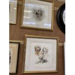 TWO FRAMED 'DOG' PRINTS