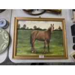 A GILT FRAMED OIL PAINTING OF A HORSE, SIGNED S.SUTTON