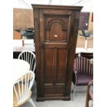 AN OAK SINGLE DOOR TALL CUPBAORD