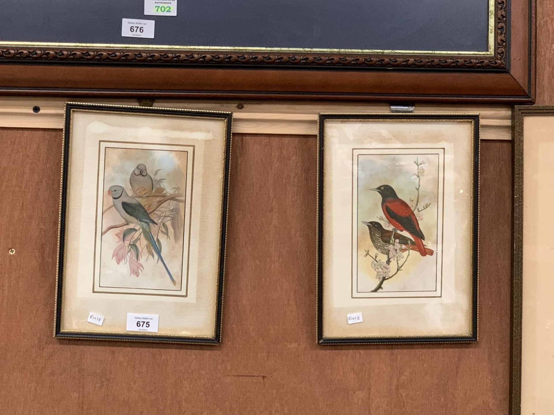 FOUR FRAMED PICTURES TO INCLUDE A PAIR OF BIRD PICTURES, WATERCOLOUR ETC - Image 2 of 2