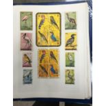 BIRDS . AN ALL WORLD THEMATIC COLLECTION OF BIRDS ON STAMPS . INCLUDED USA 2 X 25 SHEETS , PLUS