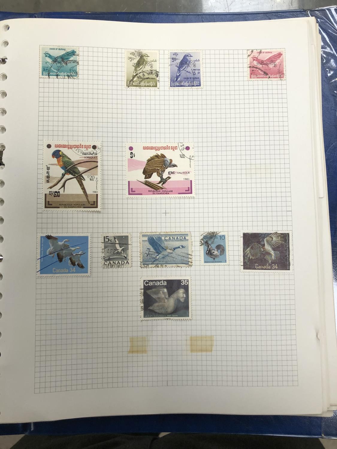 BIRDS . AN ALL WORLD THEMATIC COLLECTION OF BIRDS ON STAMPS . INCLUDED USA 2 X 25 SHEETS , PLUS - Image 2 of 9