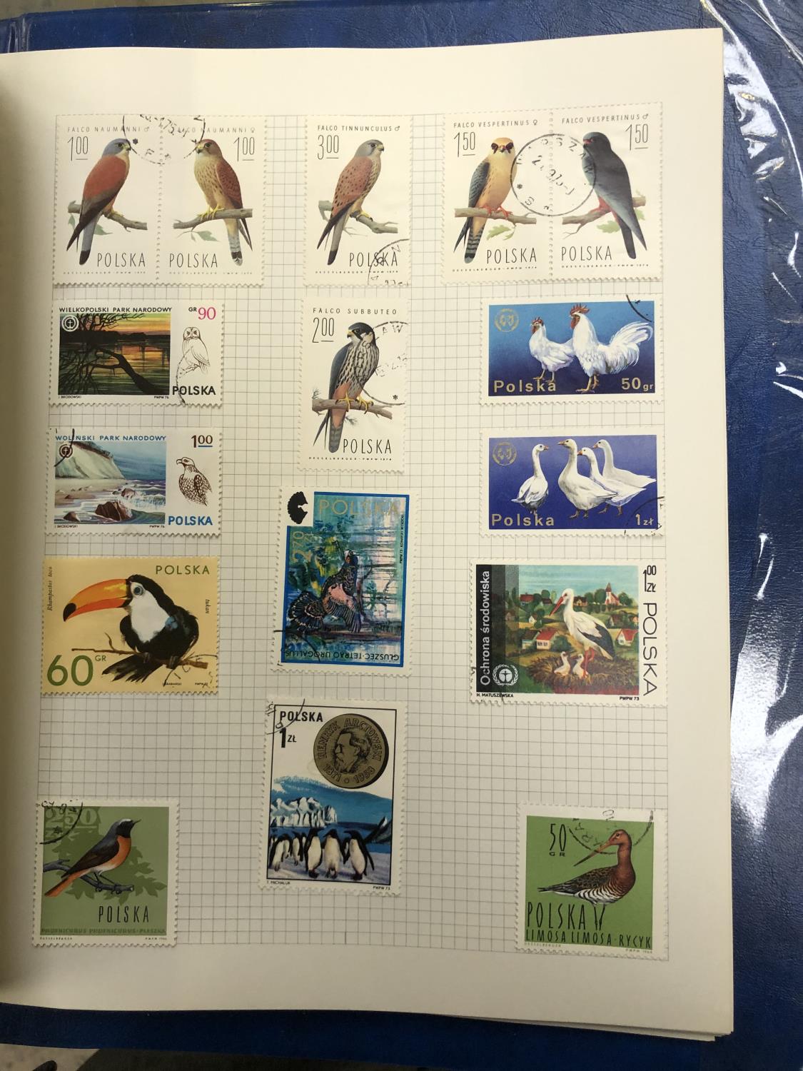 BIRDS . AN ALL WORLD THEMATIC COLLECTION OF BIRDS ON STAMPS . INCLUDED USA 2 X 25 SHEETS , PLUS - Image 9 of 9