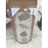 AS NEW AND BOXED FLOATING LEAF PICTURES