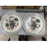 TWO PORTMEIRION BOTANIC GARDENS LARGE PLATES