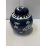 A CHINESE BLUE AND WHITE PRUNUS PATTERN GINGER JAR, DOUBLE RING MARK TO BASE