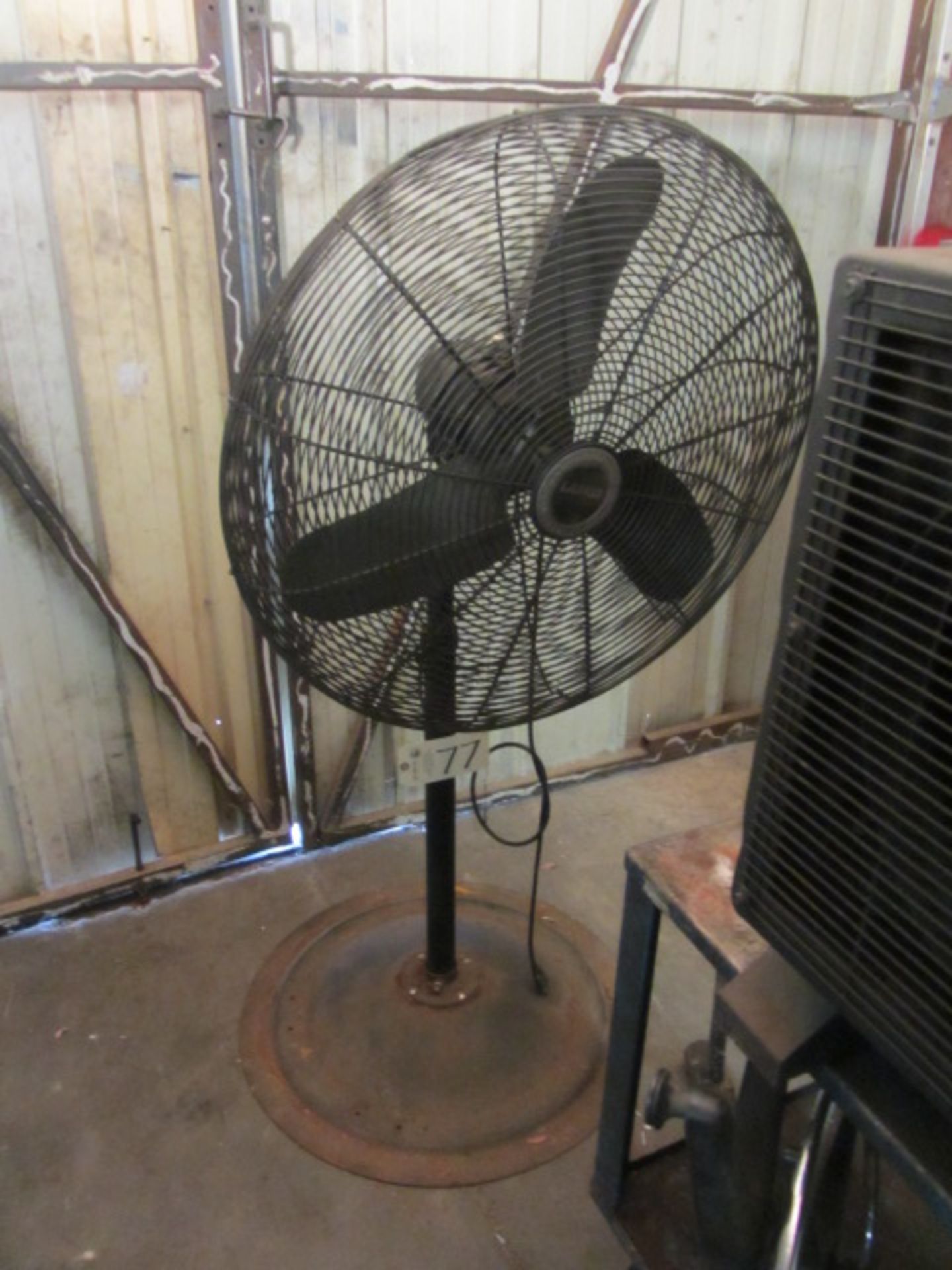 Pedestal Fan