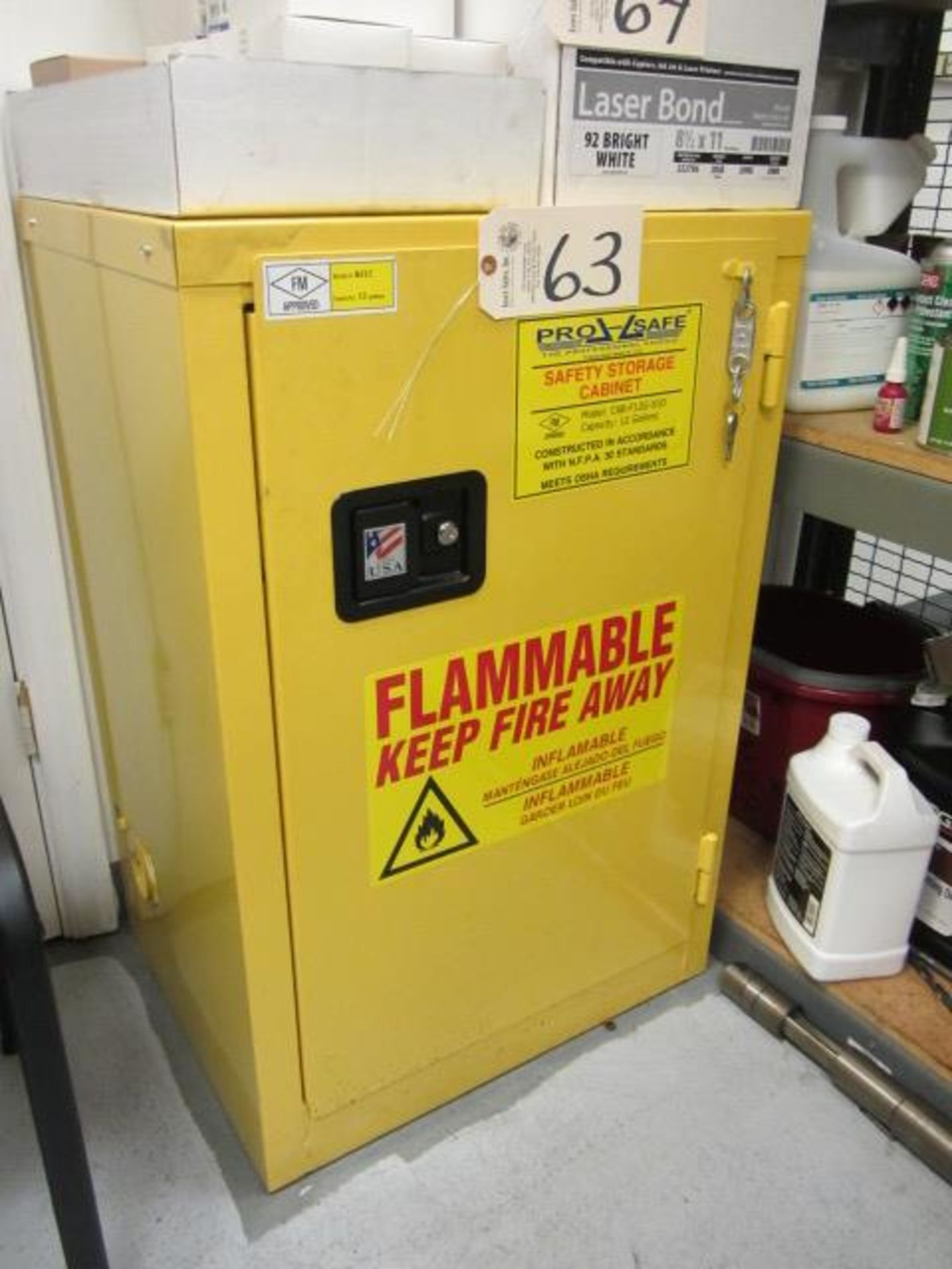 Pro Safe Flammable Cabinet