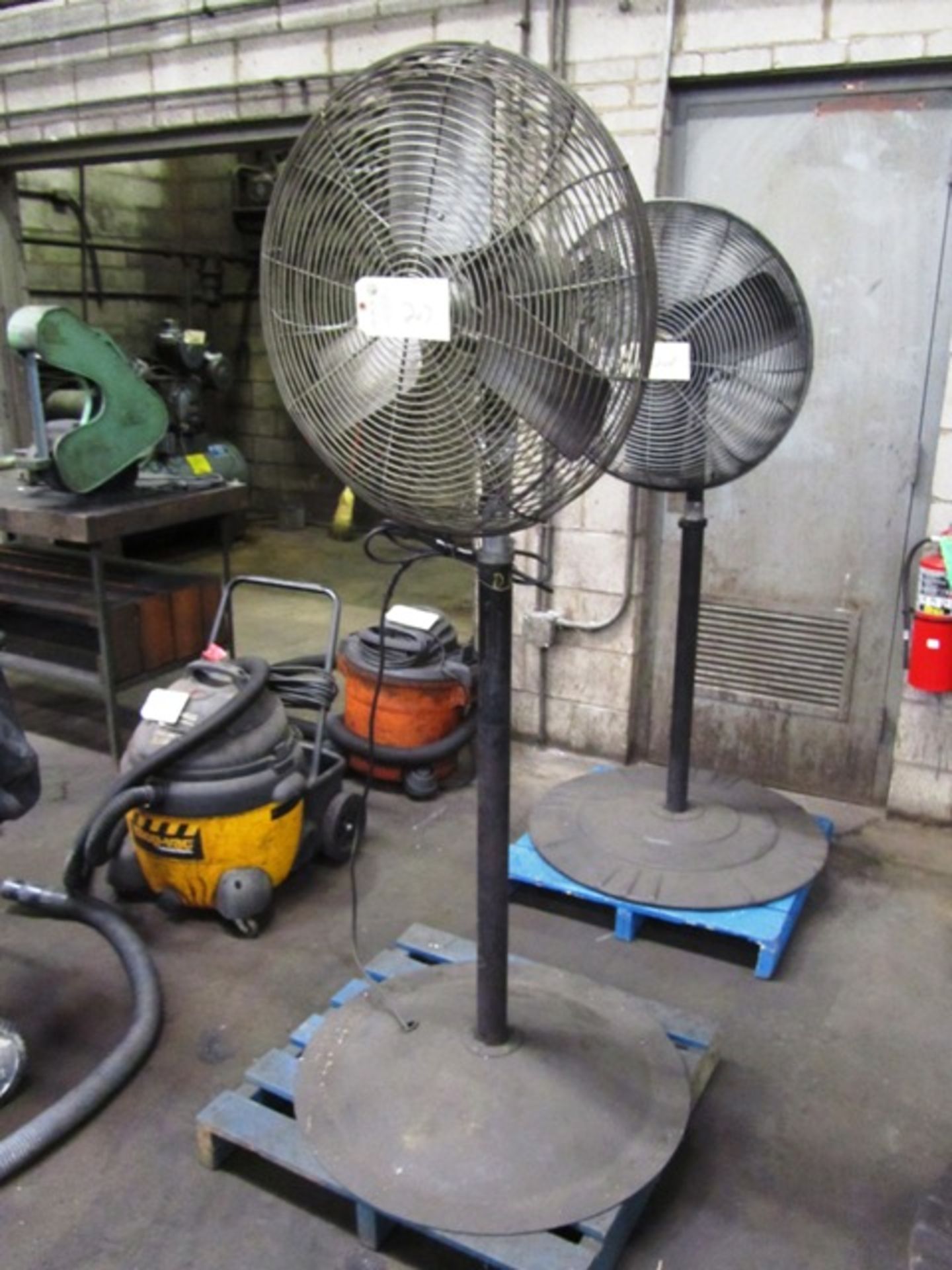 Pedestal Fan