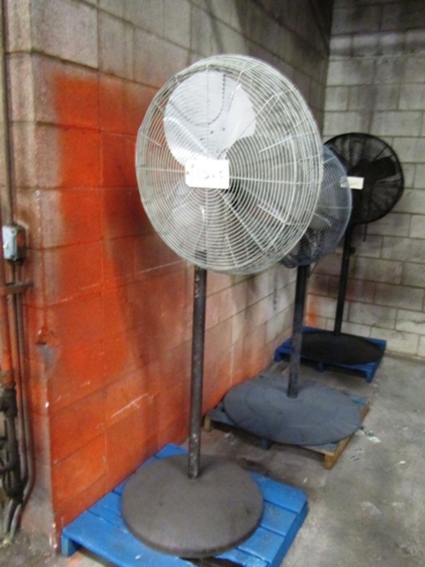 Pedestal Fan