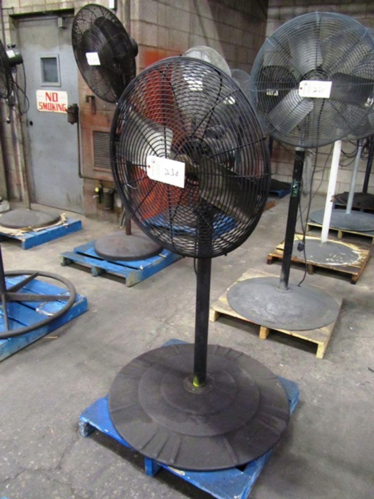 Pedestal Fan