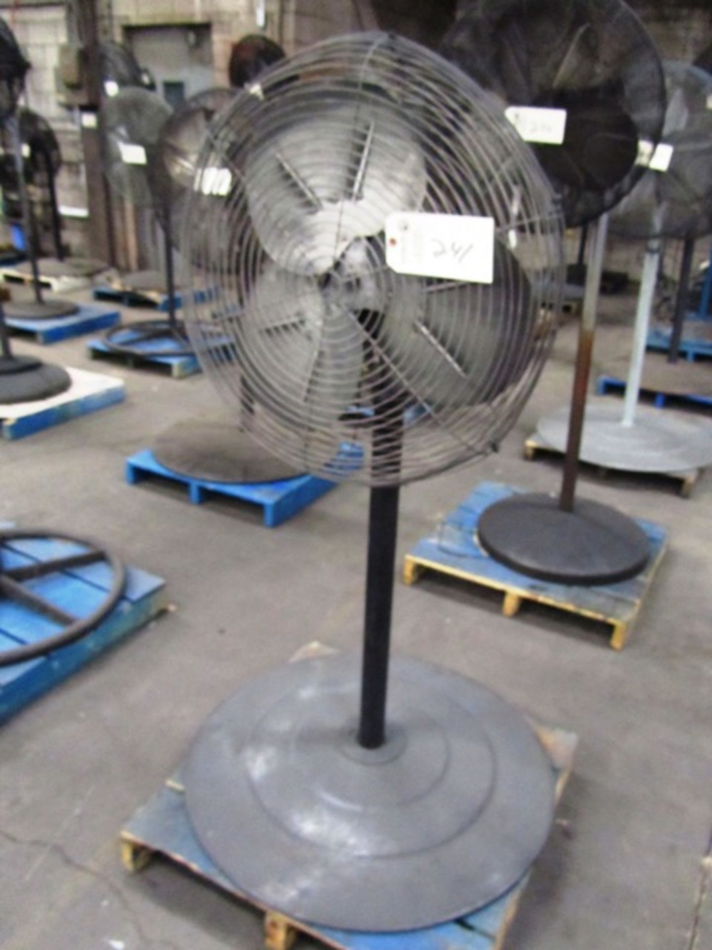 Pedestal Fan