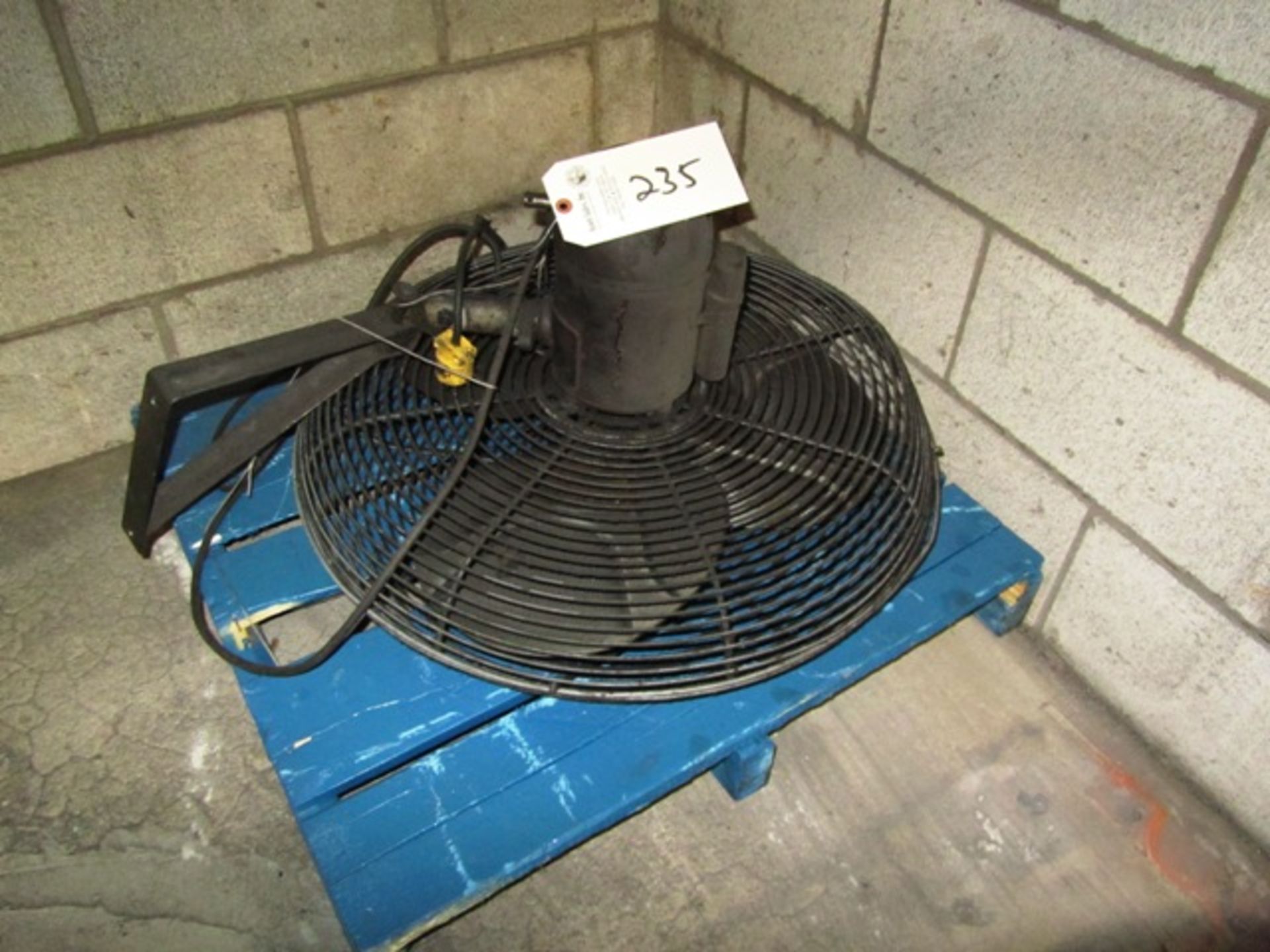 Wall Fan