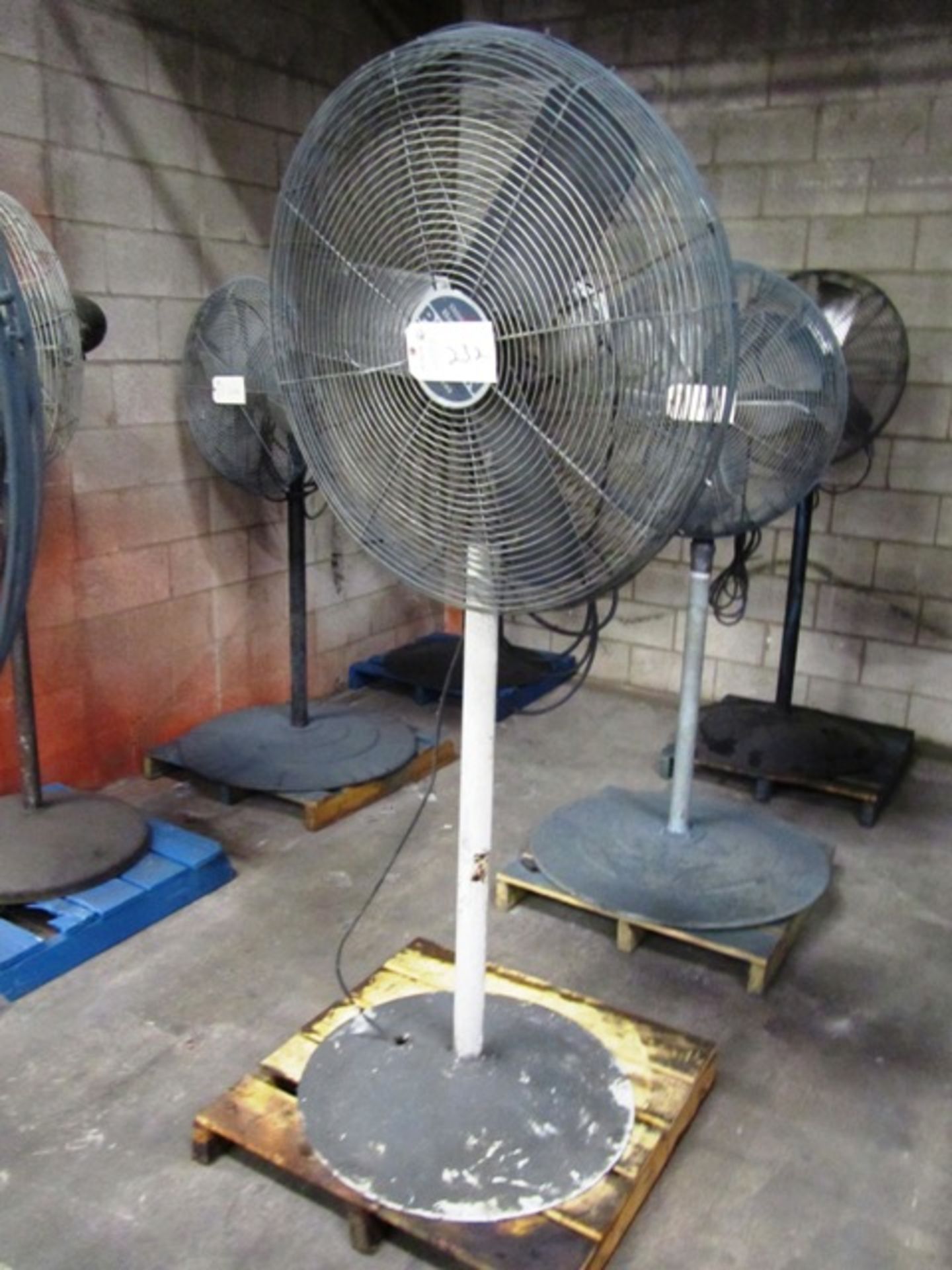 Pedestal Fan