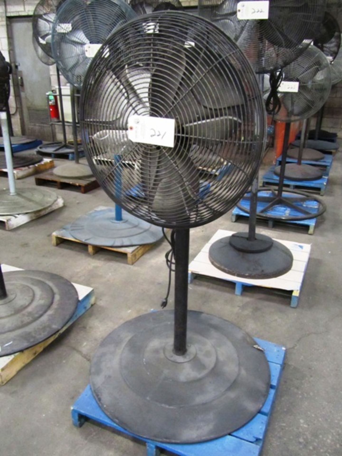 Pedestal Fan