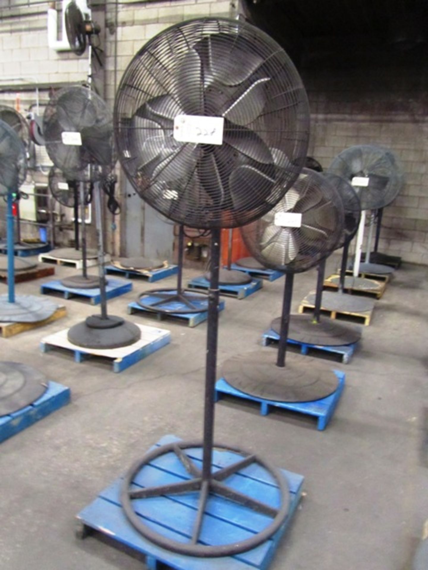 Pedestal Fan