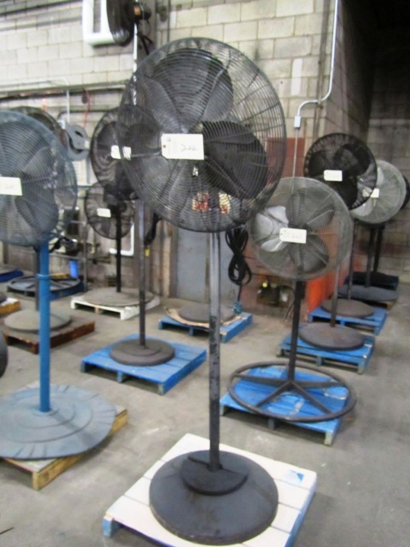 Pedestal Fan