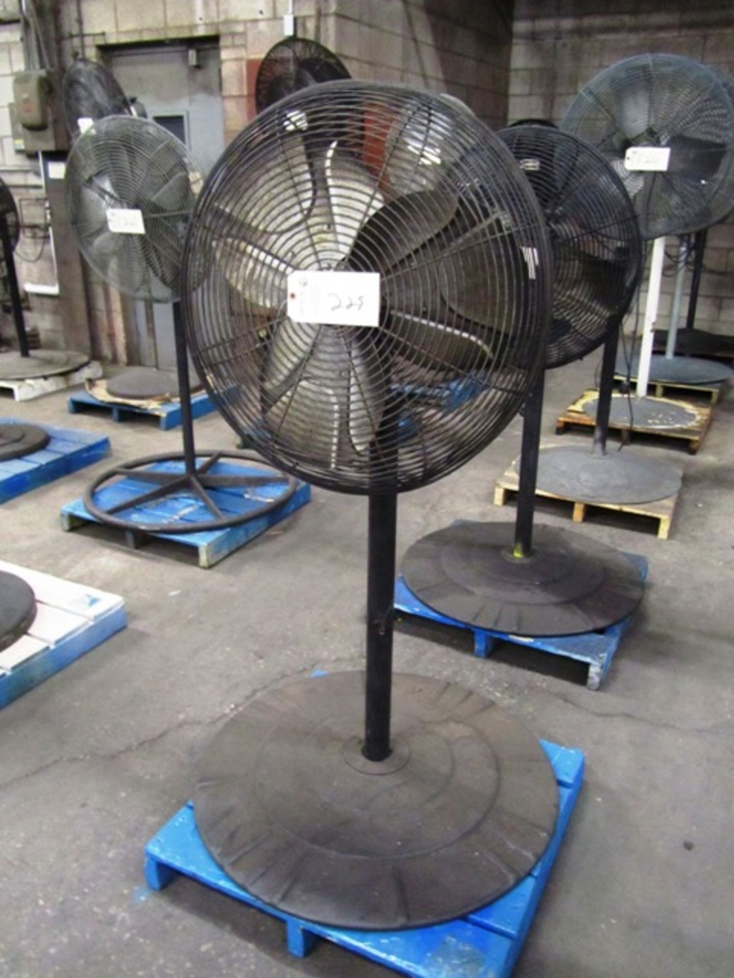 Pedestal Fan