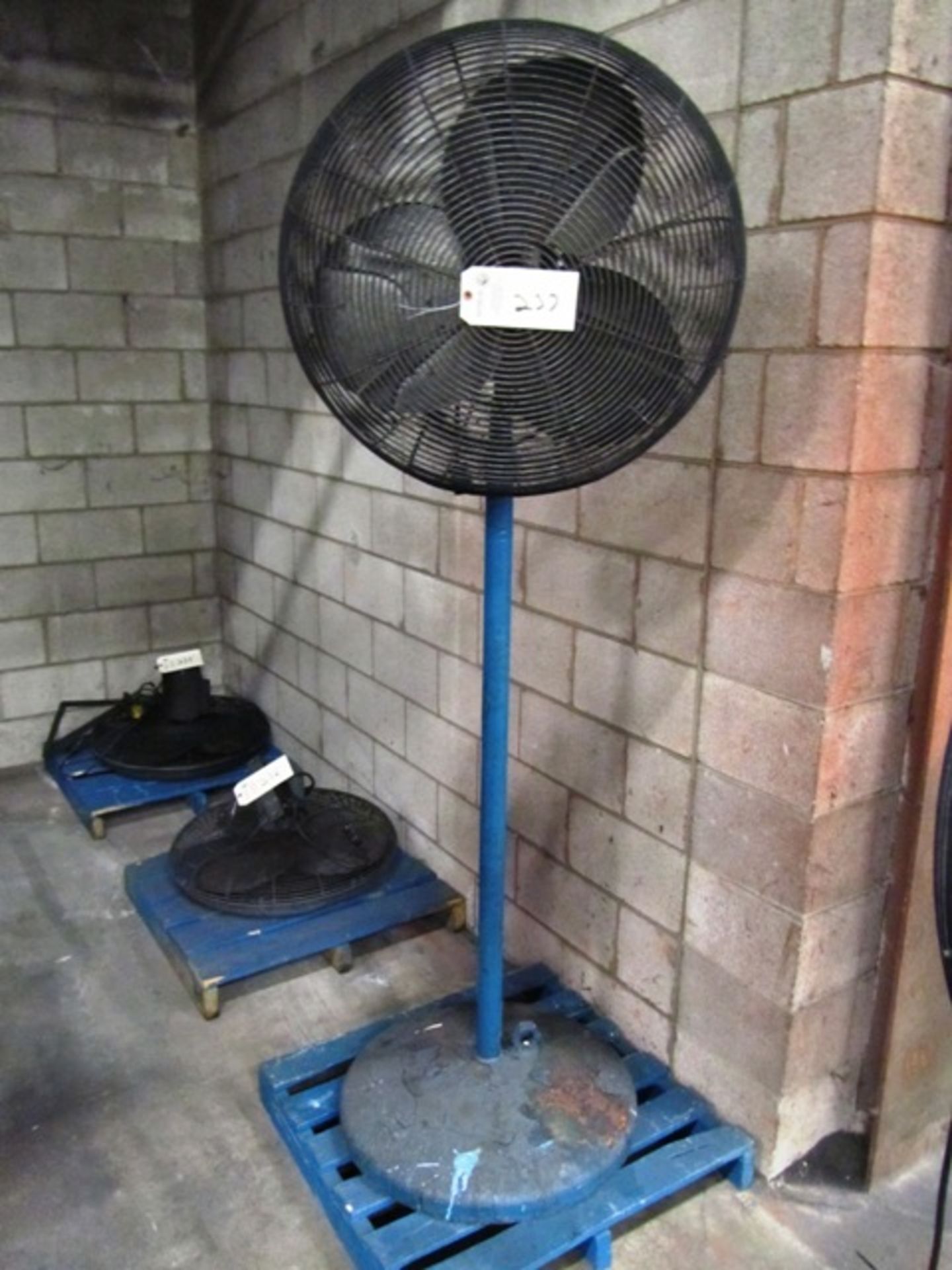 Pedestal Fan