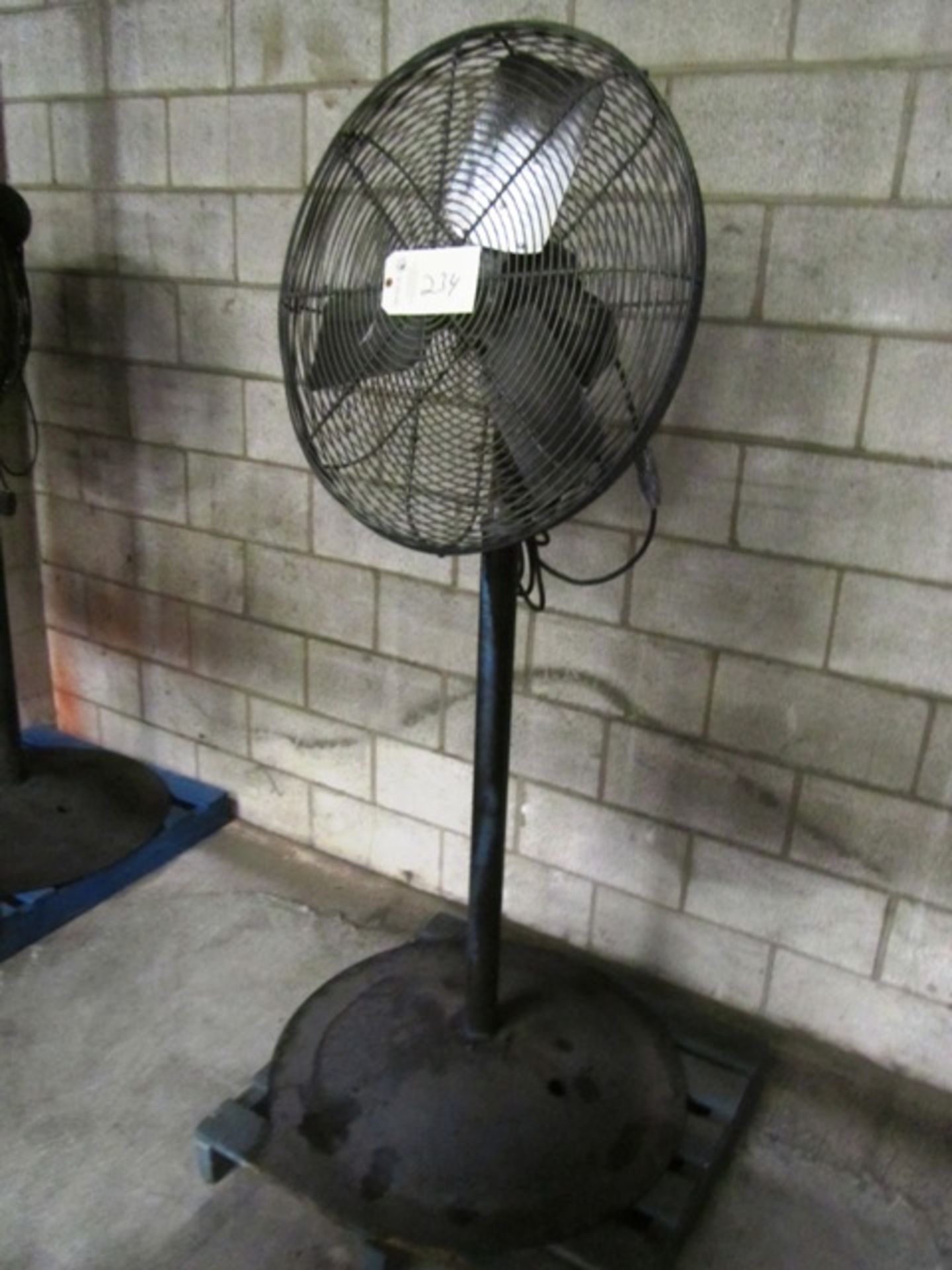 Pedestal Fan