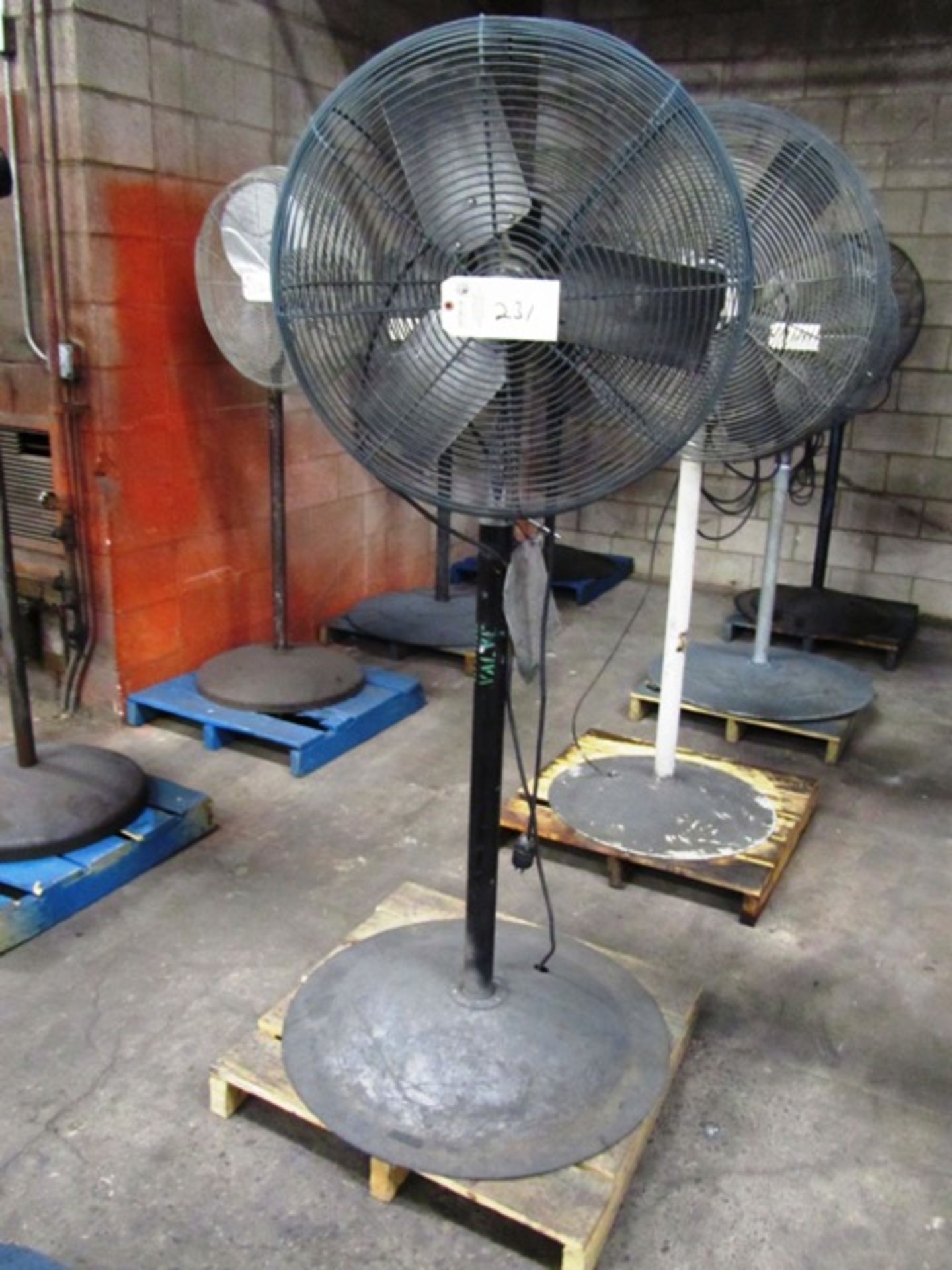 Pedestal Fan