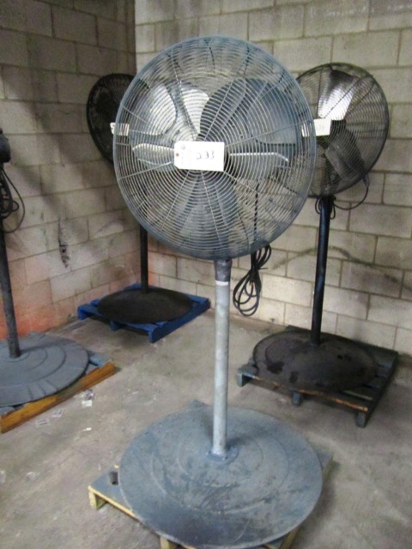 Pedestal Fan