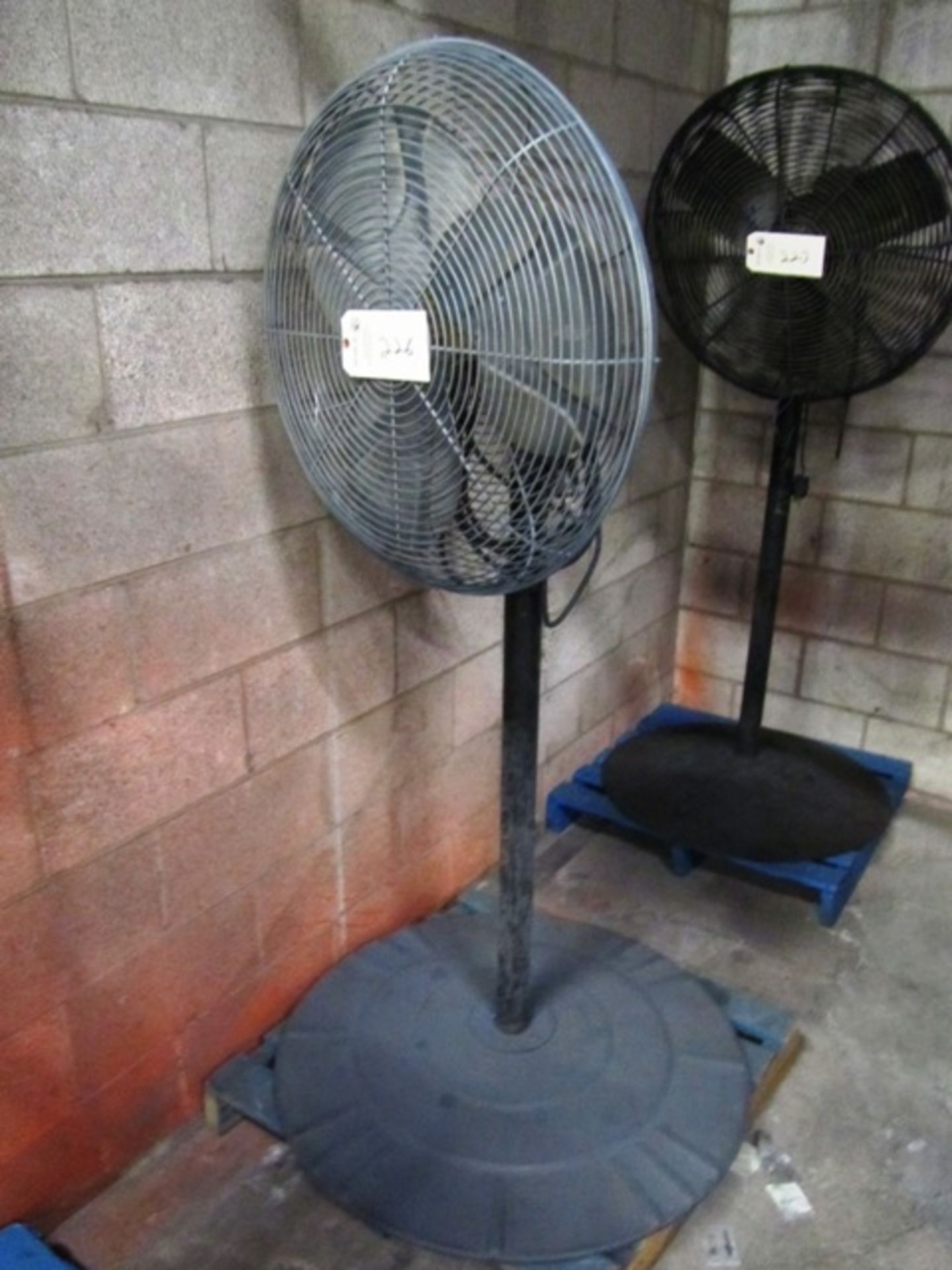 Pedestal Fan