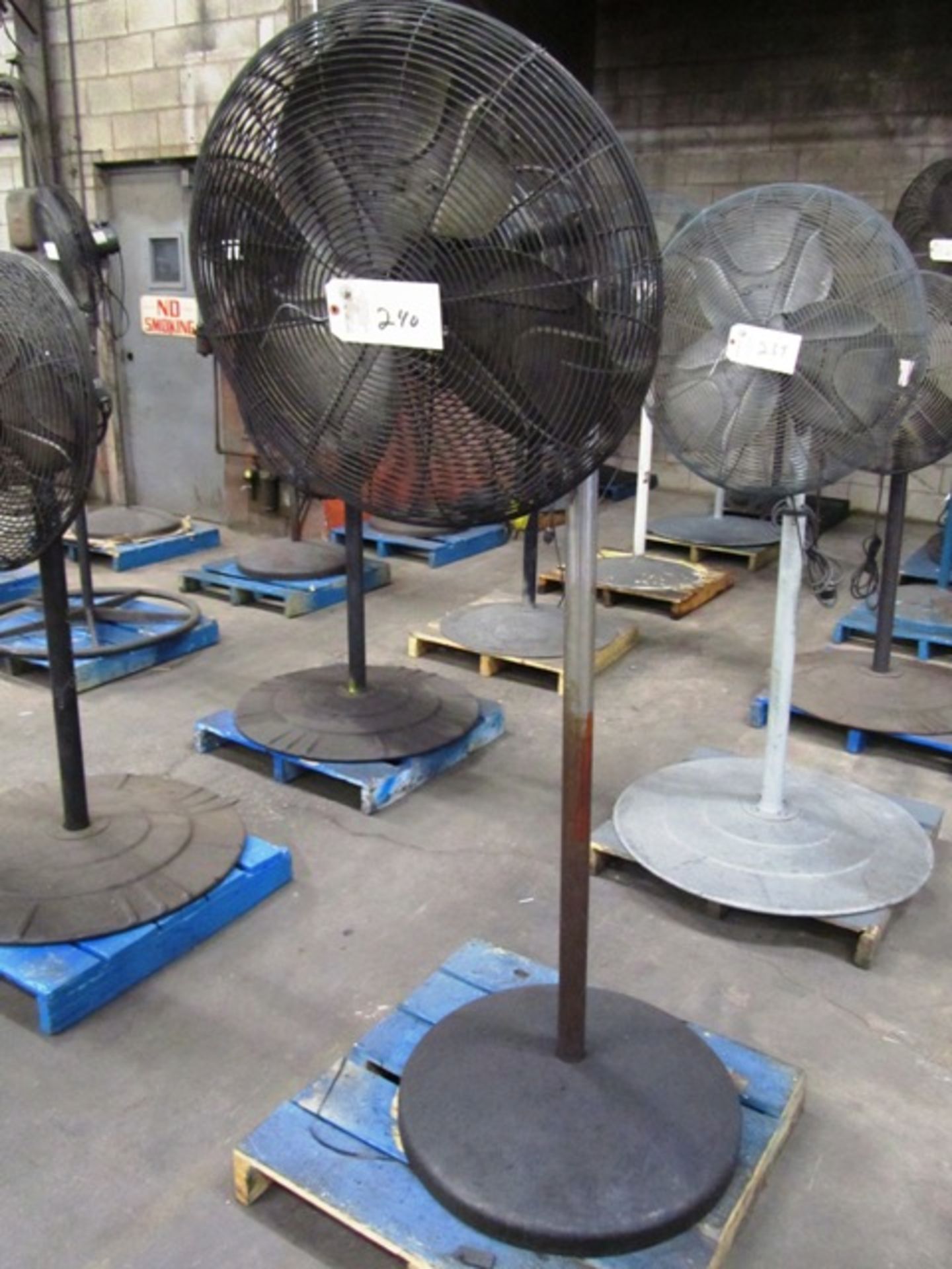 Pedestal Fan