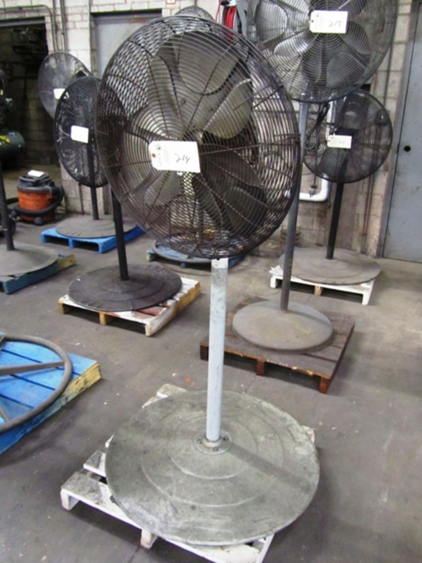 Pedestal Fan