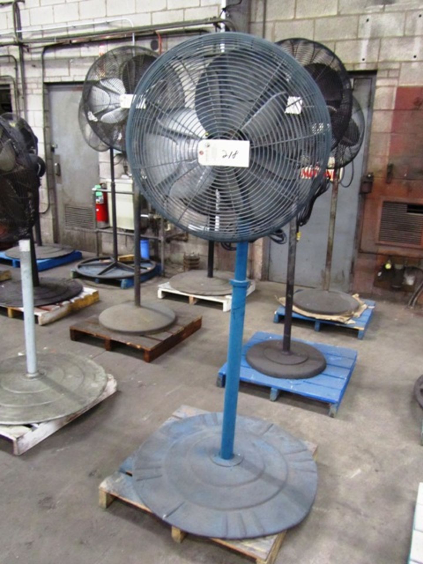 Pedestal Fan