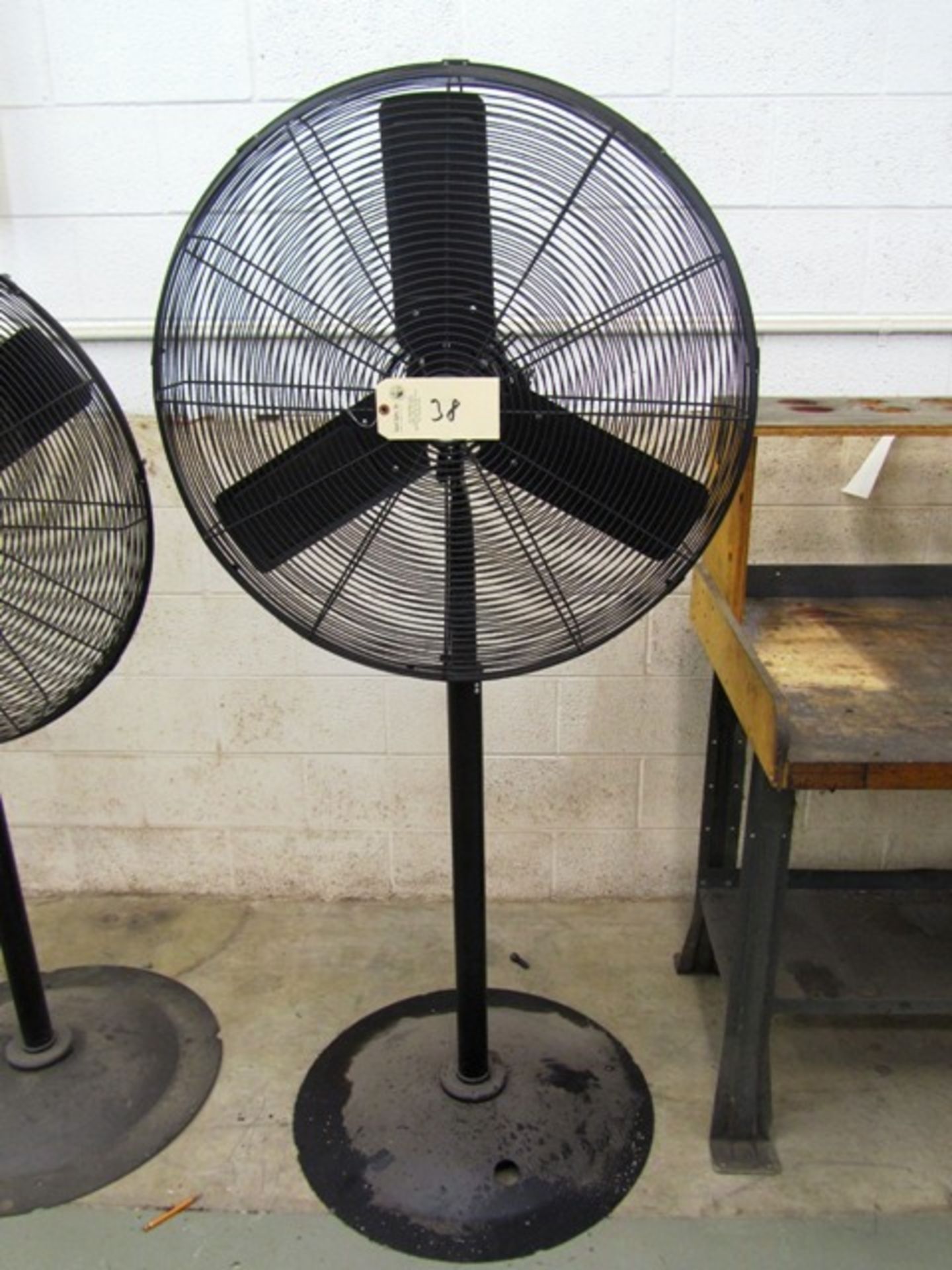 Pedestal Fan